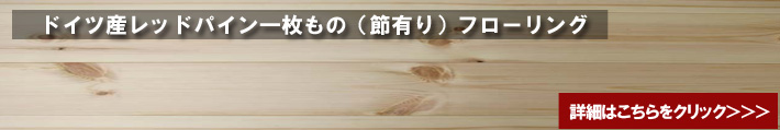 �h�C�c�p�C�����C�t���[�����O