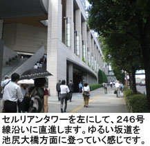 セルリアンタワー
