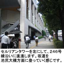 セルリアンタワー