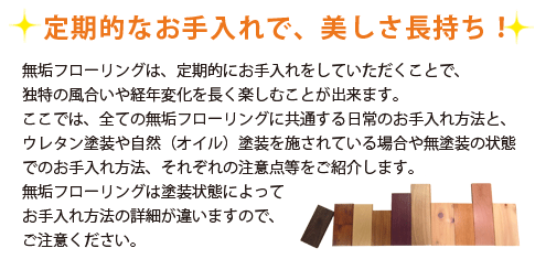 ���C�t���[�����O�������