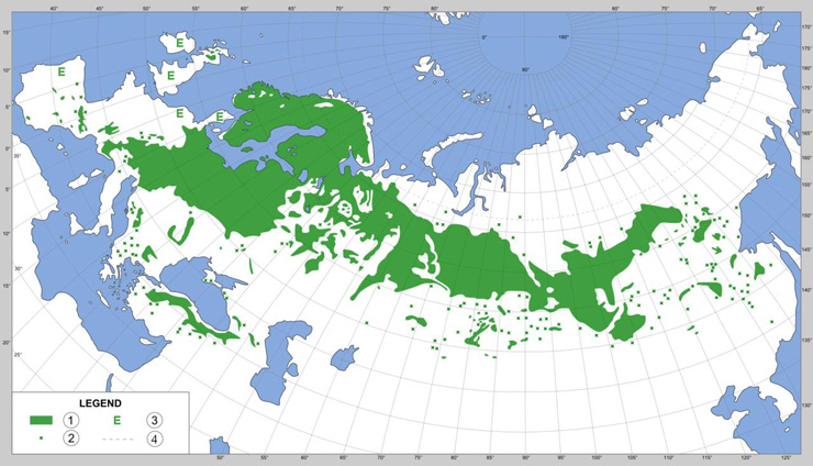 ヨーロッパアカマツの分布図