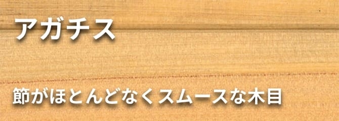 アガチス フローリング