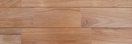 画像:アースタイル