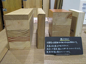 框展示コーナー