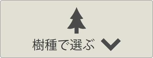 樹種で選ぶ