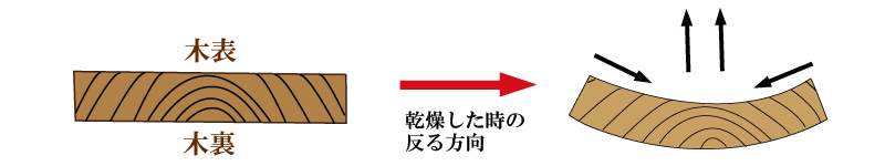 木表、木裏図